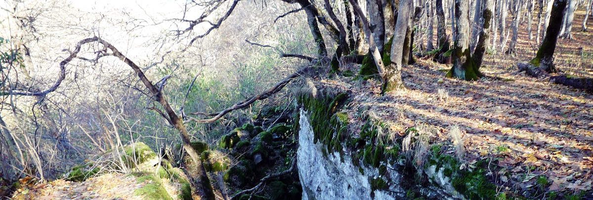 Экологическая тропа на Стрижаменте