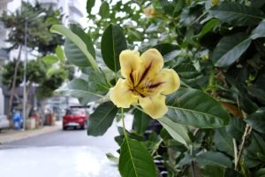 Погода в Аланье с 10 по 14 февраля 2022 года