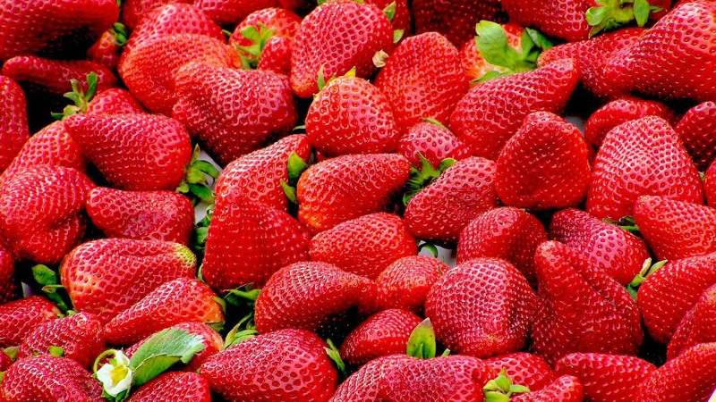 Сколько стоит сегодня клубника в мире